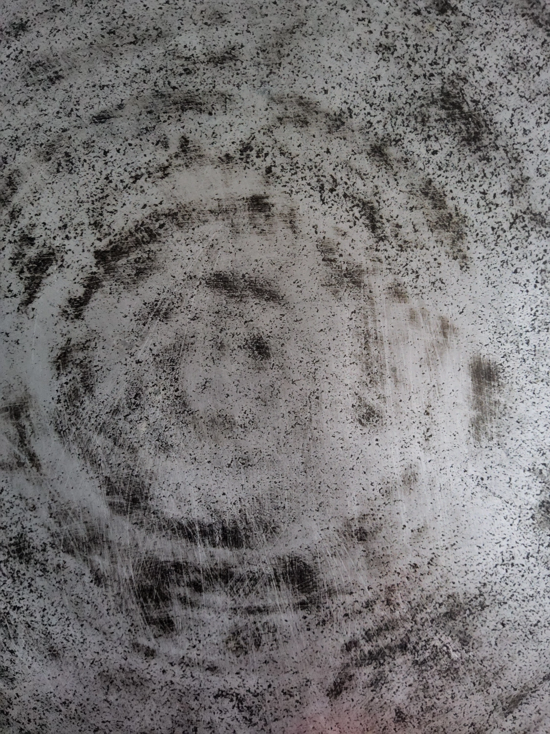 Veterinärakupunktur Neitzke - Akupunkturbehandlung - Natur