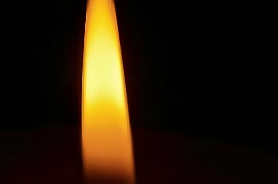 Veterinärakupunktur Neitzke - Akupunkturbehandlung - Kerze