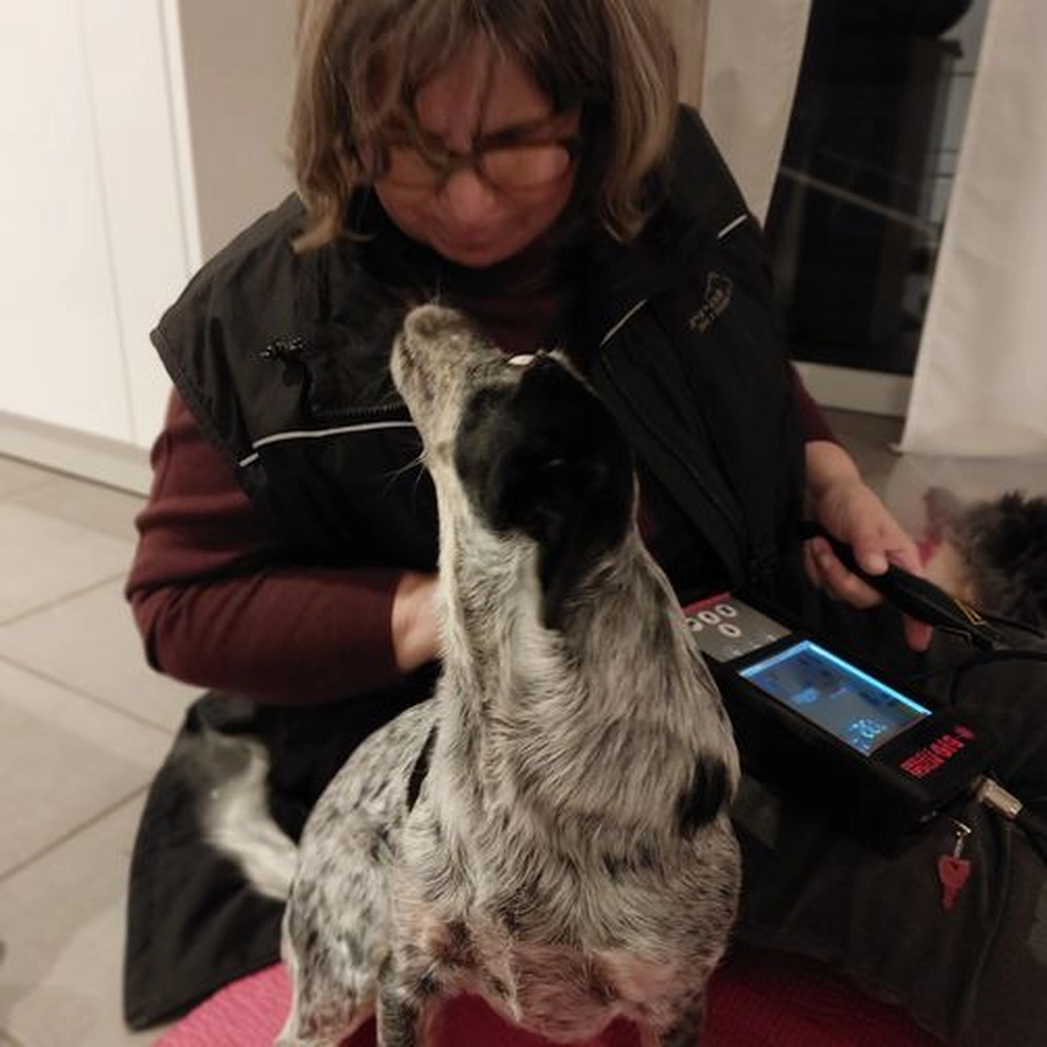  auto_awesome Translate from: German 784 / 5,000 Veterinärakupunktur Neitzke - Susanne Neitzke