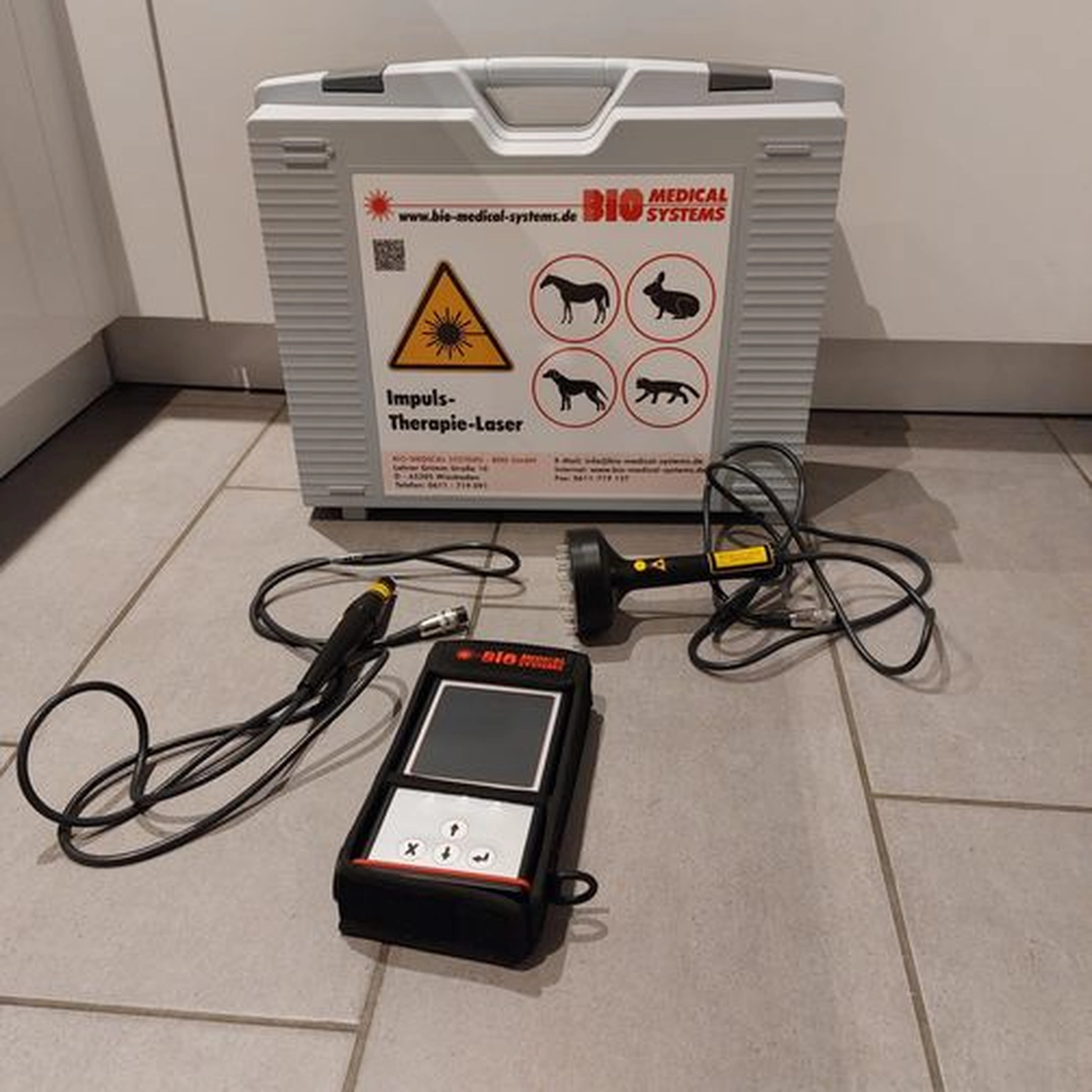 Veterinärakupunktur Neitzke - Akupunkturbehandlung