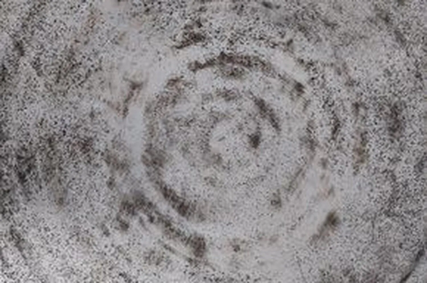 Veterinärakupunktur Neitzke - Akupunkturbehandlung - Natur